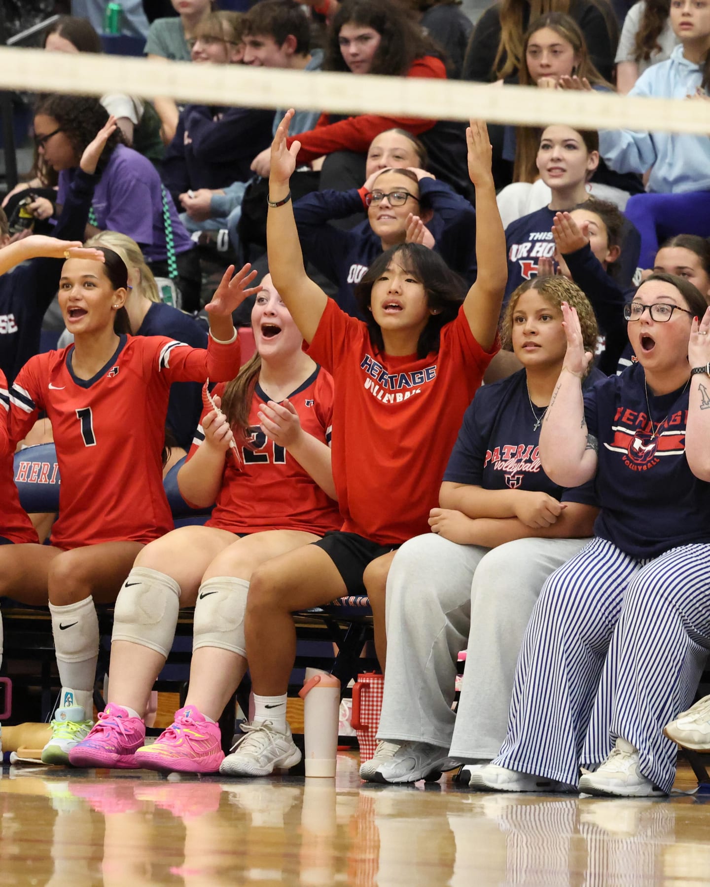 Adding a little more Heritage volleyball to your f..., photo 4 of 17
